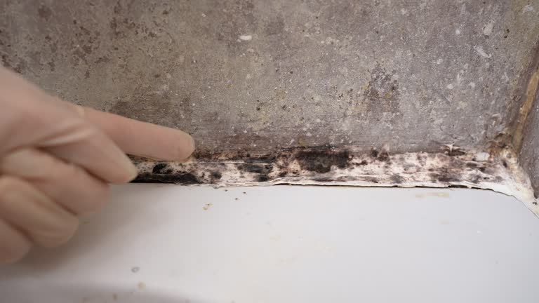 Forensic Mold Investigation in Shady Cove, OR